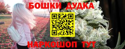 дживик Дубна